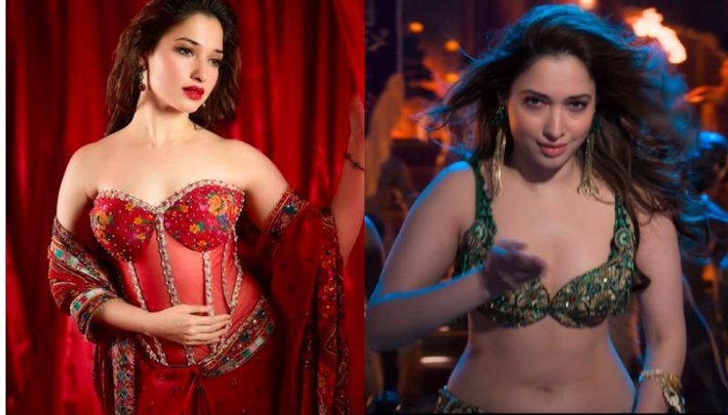 Tamannaah Bhatia item song in stree 2 movie goes viral dtr