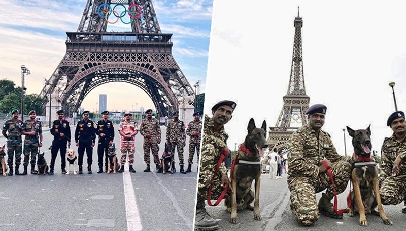 Paris Olympics 2024: Meet India's elite K9 units providing security in France gcw