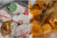 Viral Video: Insect found in Burger King Meal, sparks online outrage [watch] NTI