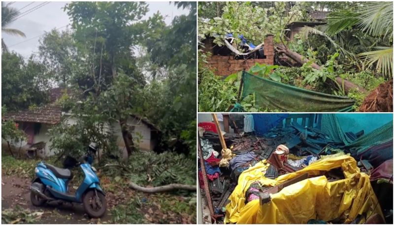 Heavy damage due to lightning storm  in kerala rain latest news trees fell down house collapsed