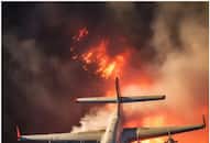 Tragic Air Disasters: 6 Deadliest plane crashes in history NTI