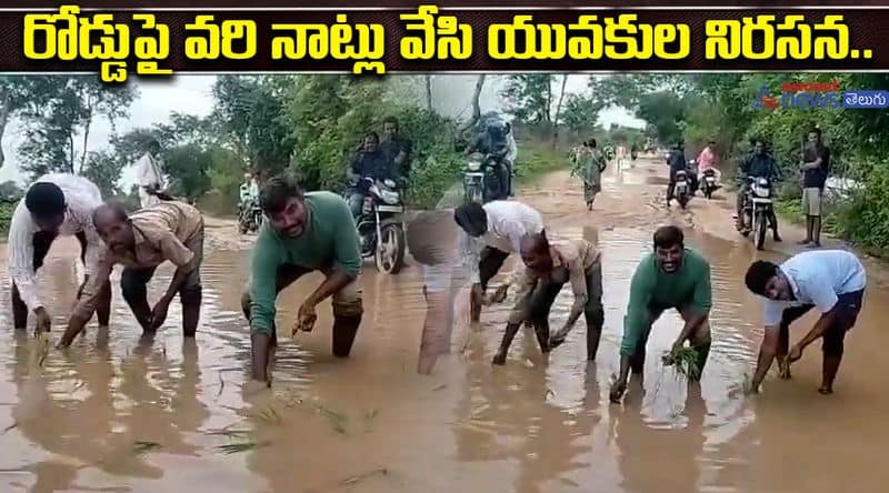 Paddy fields on the road Innovative Protest Over Damaged