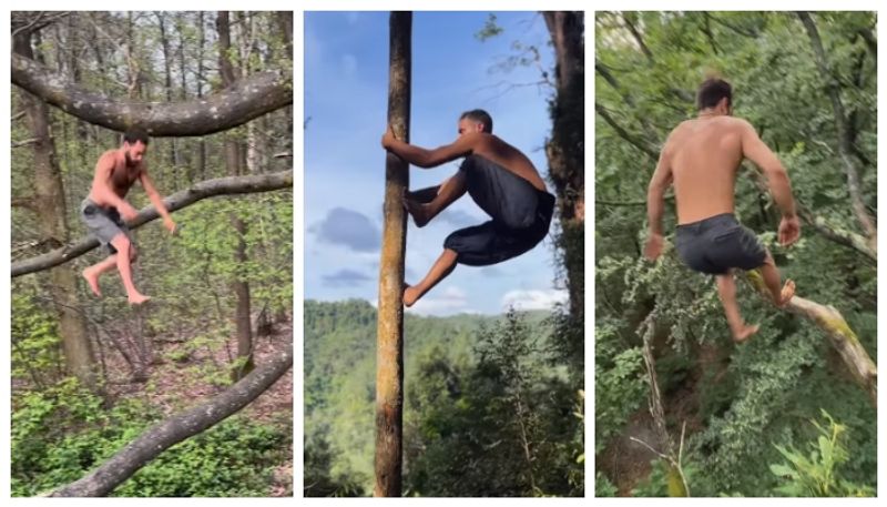 Video of young man jumping from tree to tree goes viral 