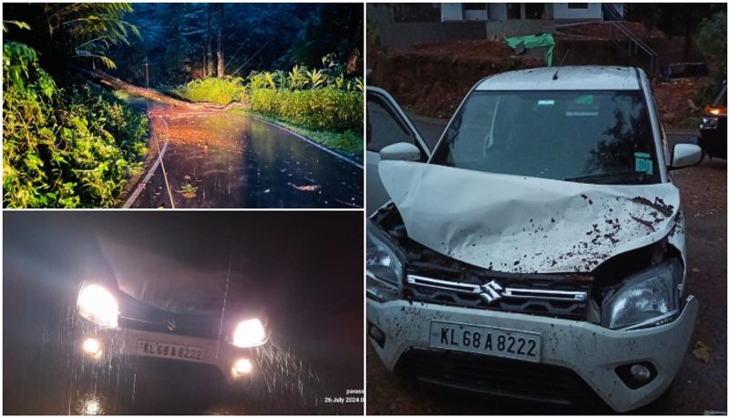 tree fell on the top of the car in idukki 