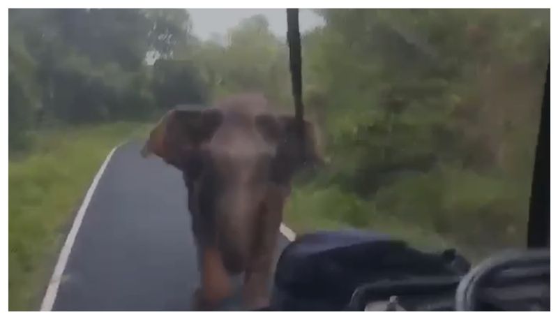 Wild elephant trying to attack ksrtc bus in Gavi