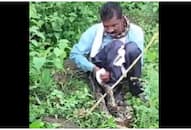  Villagers save man from giant python attack in Jabalpur, watch video NTI