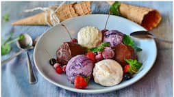 Five Indian Ice Cream Brand make it toTasteAtlas' Top 100 list NTI