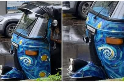 Viral Photo: Van Gogh-inspired auto rickshaw takes social media by storm NTI