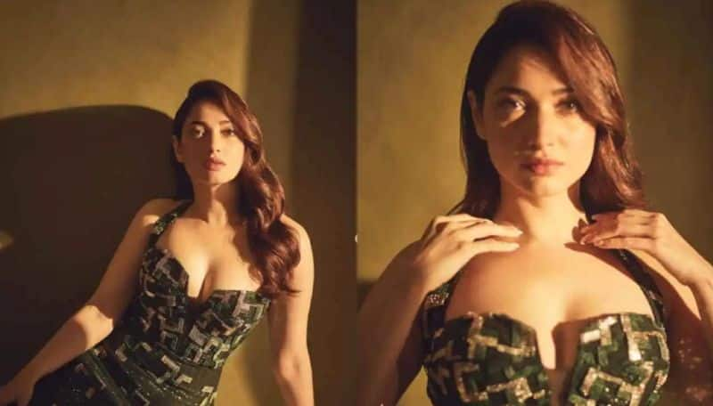 Netizen Criticized Actress Tamannaah Bhatia see how she reacted ans  