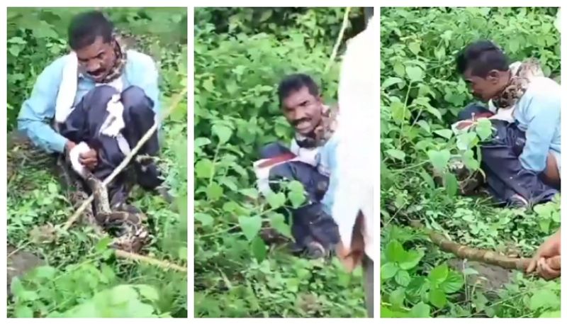 Video of young man being rescued from 15-foot python's mouth goes viral 