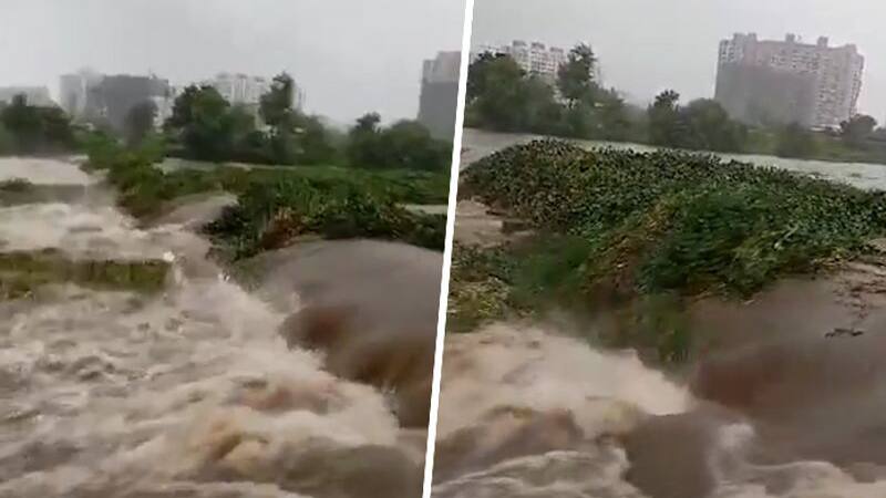 Maharashtra Rains: Pune 'River Deep Cleaning' Captured in Viral Video