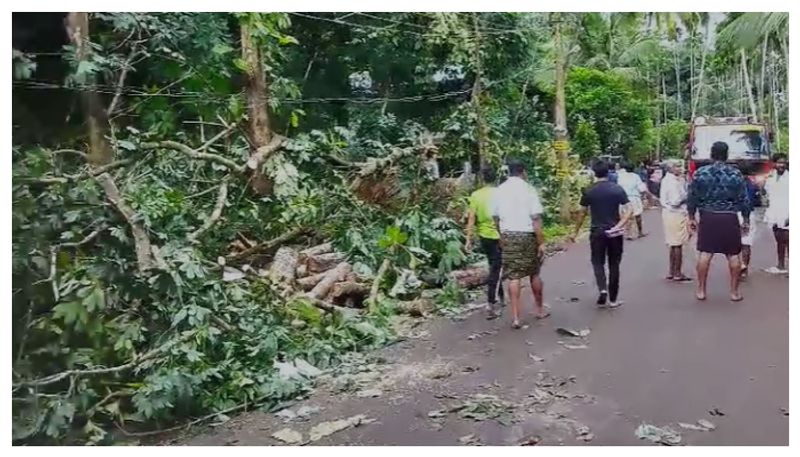 cyclone hit malappuram karuvarakundu 