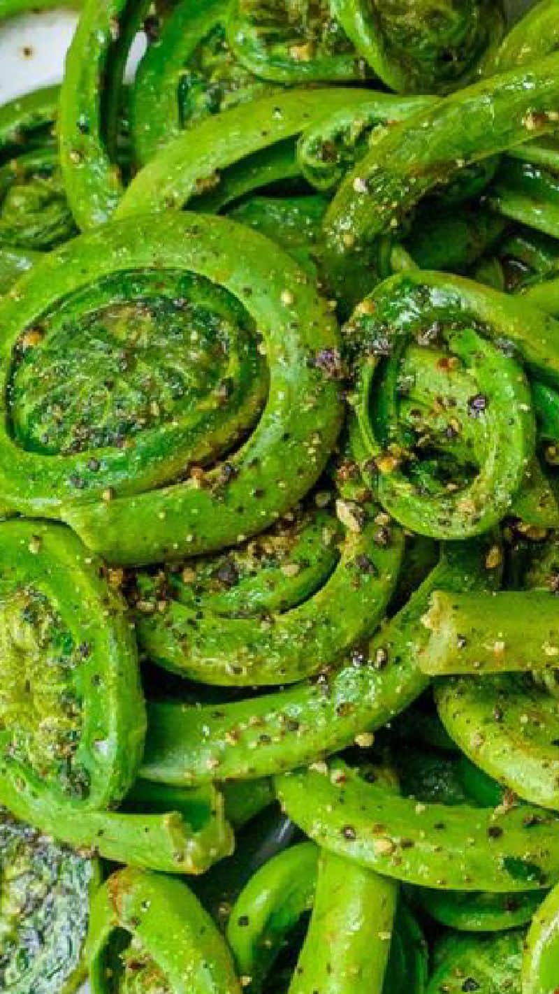 fiddlehead fern or lingad sabji health benefits 