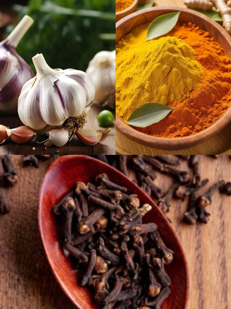 Garlic to Turmeric: 7 Indian spices to boost immunity in Monsoon ATG