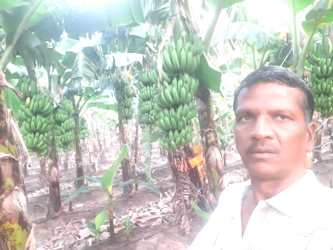 Dhanapal