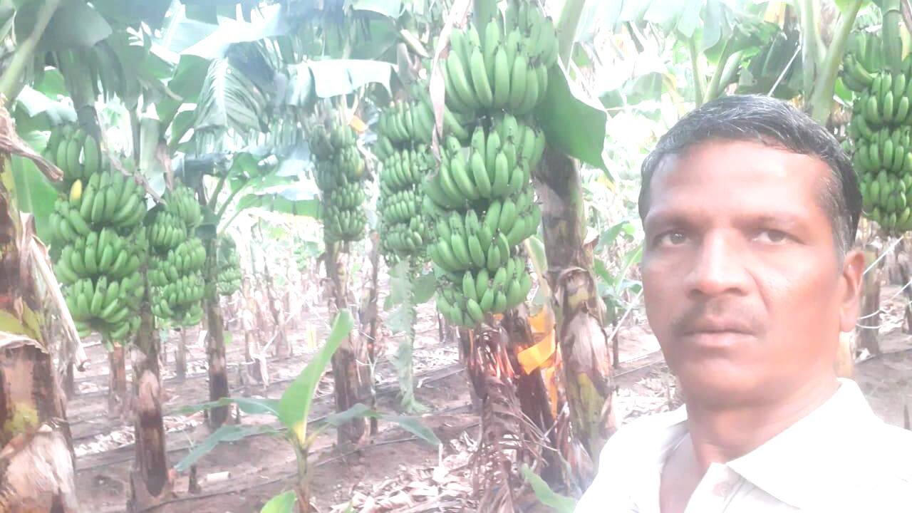 Dhanapal