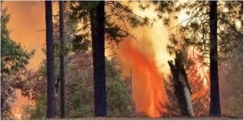 350000 acres burned man made wildfire uncontrollable in california