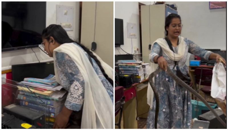 Woman rescue snake at office with bare hands in Chhattisgarh Netizens praise brave act ckm