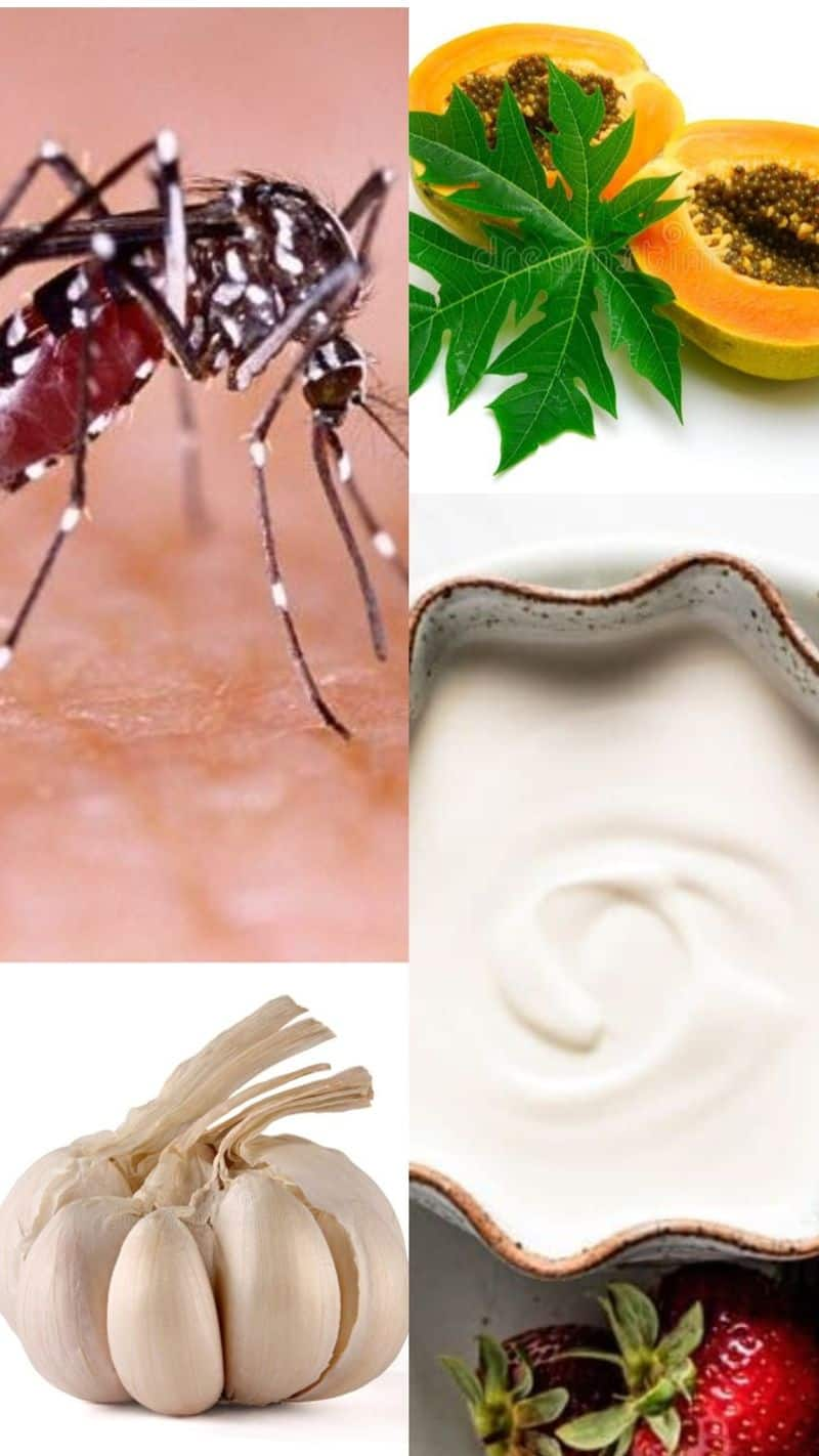 monsoon dengue prevention natural remedies Foods increase Platelets