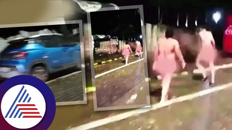 Naked couple spotted on Nagpur street and arguing with each other commuters capture video ckm