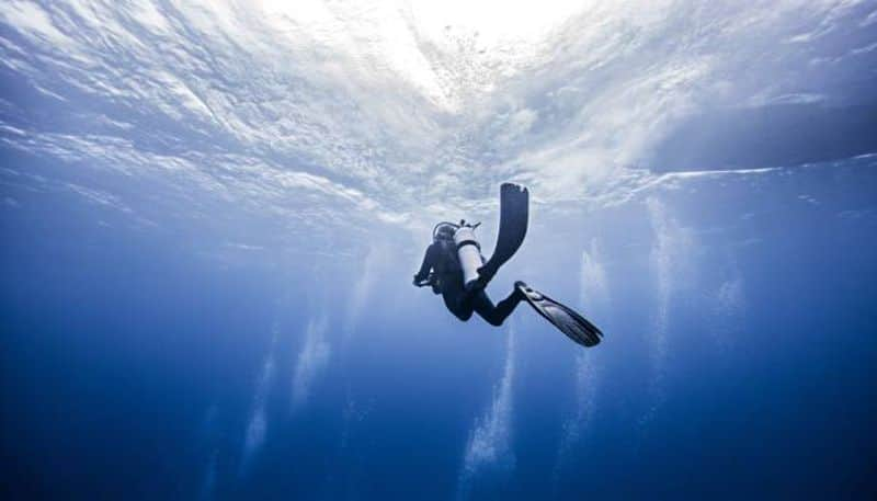 couple lost at sea 36 hours during scuba diving rescued in usa 