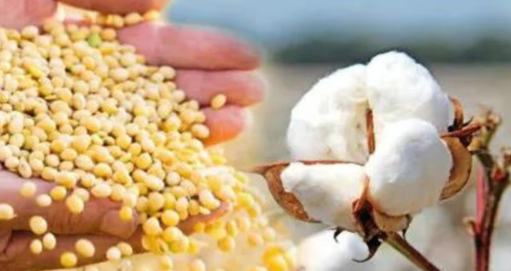 cotton and soybean farmers