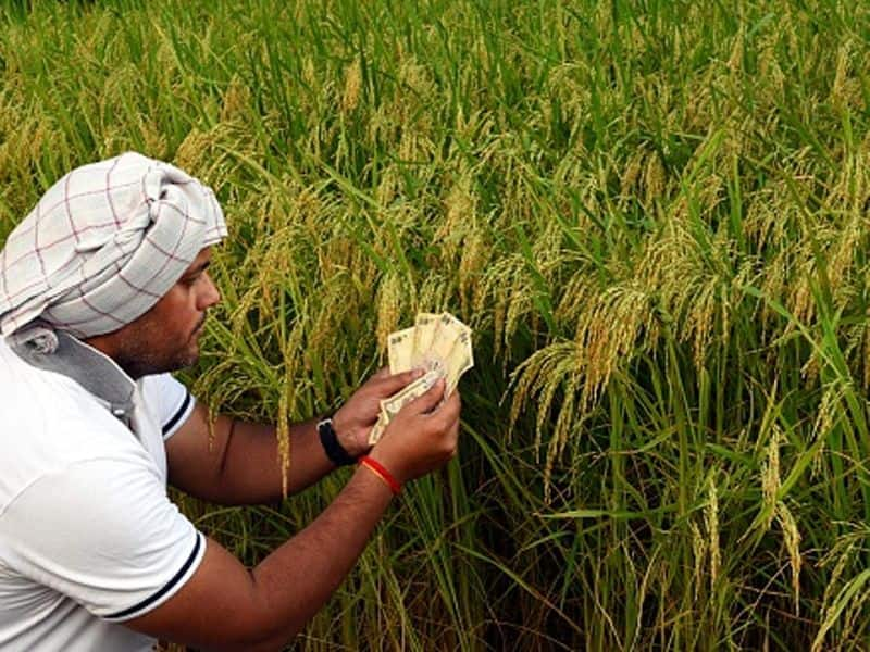 Government financial assistance to start agribusiness; Trichy Collector Call for Graduate Youth vel