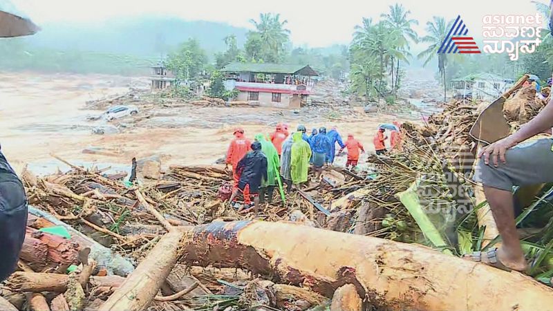 Wayanad tragedy: What are the worst landslides to ever hit India? sgb