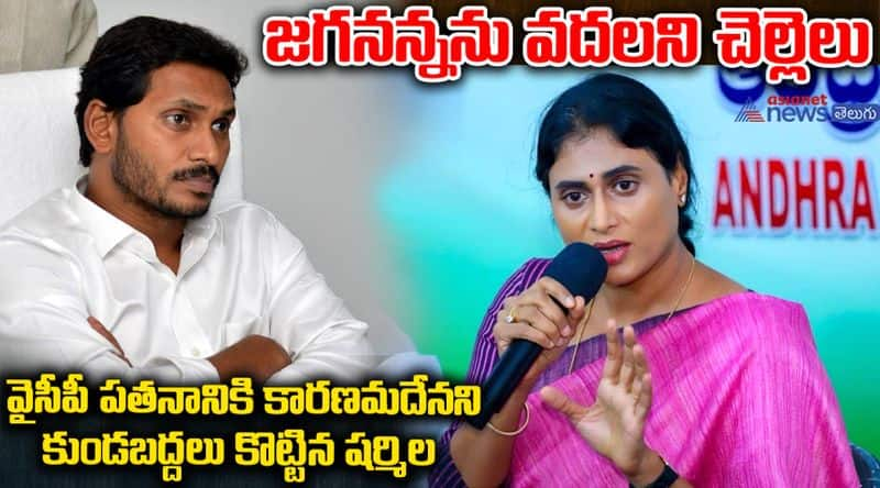 YS Sharmila Strong Counter To YS Jagan