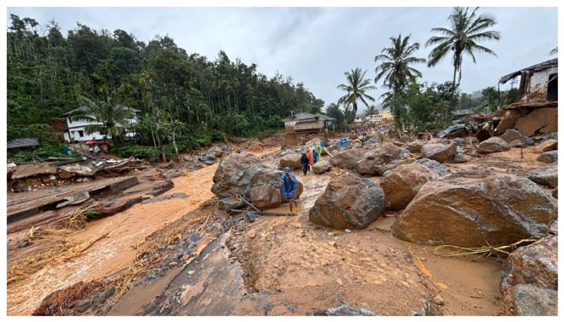 cow saved a chamarajanagar family at wayanad landslide in kerala grg 