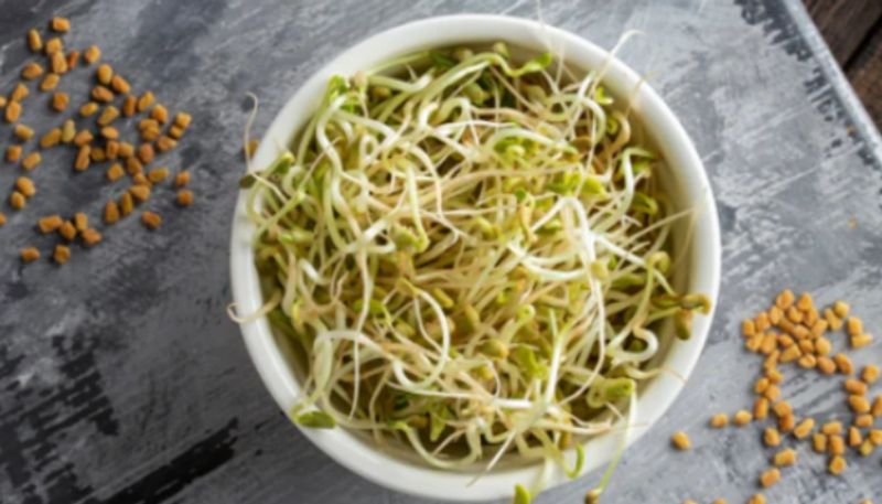 health benefits of eating methi sprouts daily