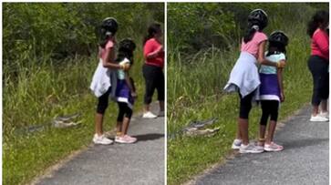 Watch: Parents endanger kids for photos next to alligator in Florida, spark outrage online NTI