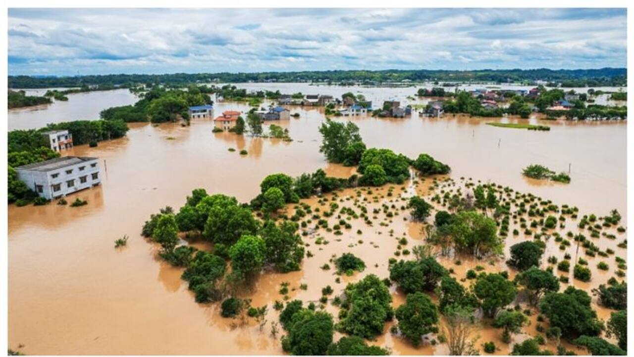 Yellow river 2024