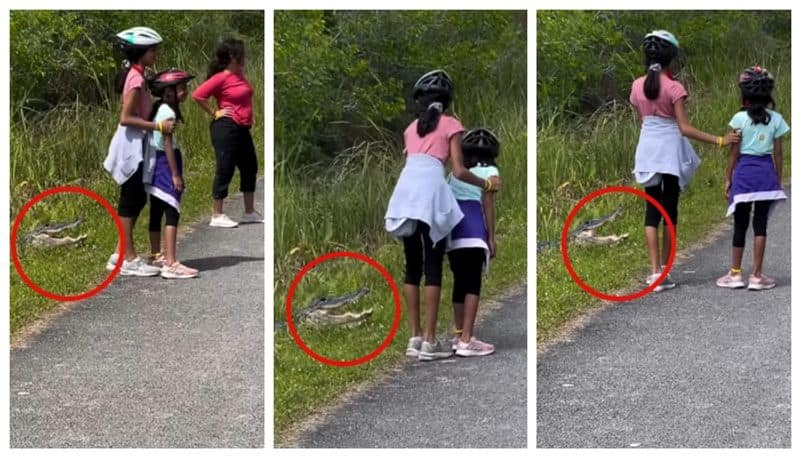 social media criticis against the Parents force their children to take photos near Alligator on the road side