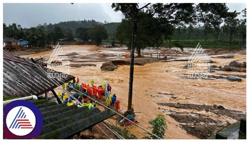 Heartbreaking pictures of the wayanad landslide tragedy gow