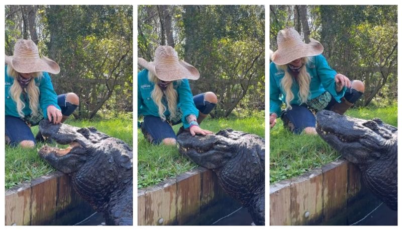 Video of a young woman caressing a alligator gets criticism on social media