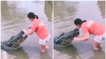 Shocking Video: Women kisses giant crocodile's head, internet reacts with horror [WATCH] NTI