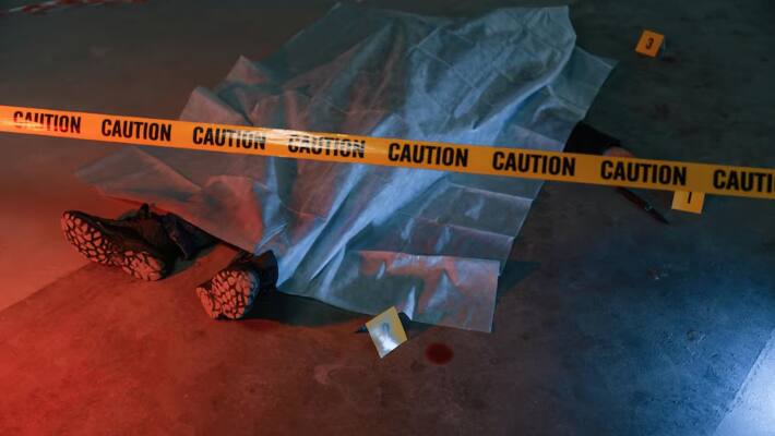 crime news
