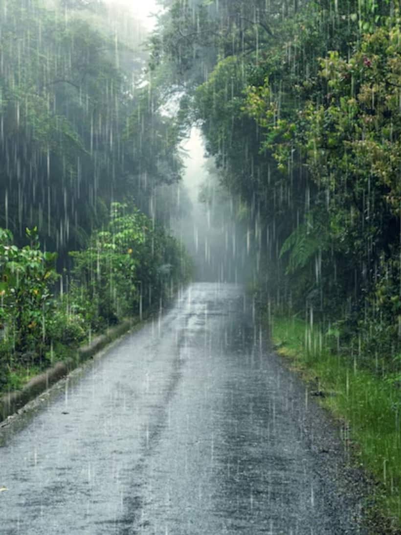 Karnataka: IMD issues Orange alert for 4 districts, hefty downpour expected for two days