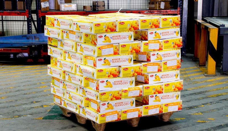 bengaluru airport sets record by shipping 822 metric tonnes of mangoes to 60 international destinations gvd