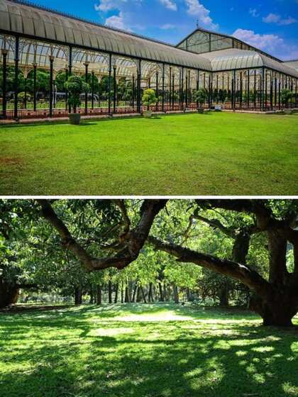 Lalbagh Botanical garden