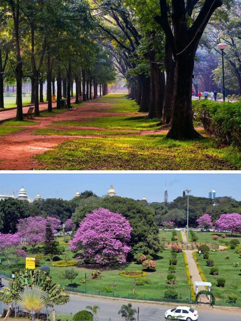Cubbon Park