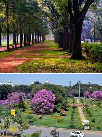 Cubbon park