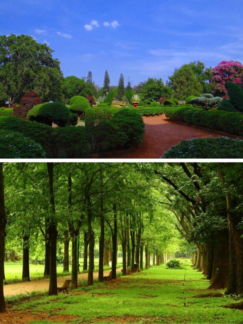 Weekend in Bengaluru? Visit these 7 stunning parks to beat boredom vkp