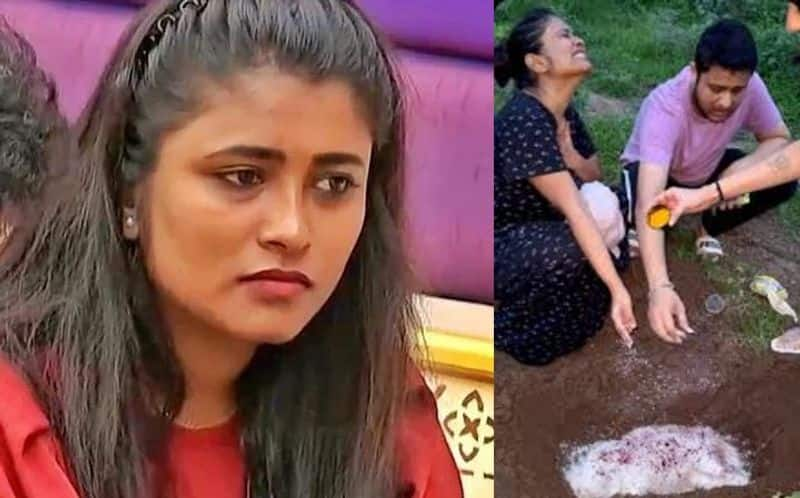 bigg boss fame geetu royal lost her pet cat and she broken down ksr 