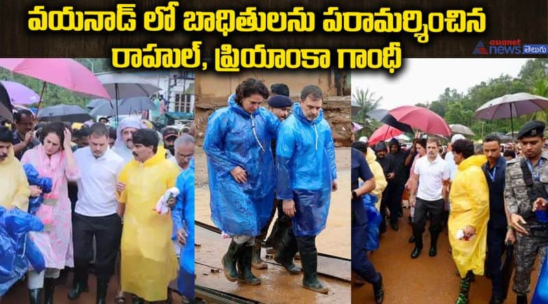 Congress MP Rahul Gandhi and Priyanka Gandhi visit Wayanad