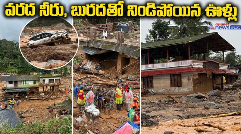 Wayanad Landslide updated visual