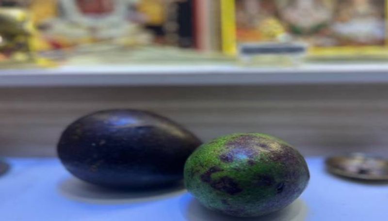 Avocados for puja viral post 