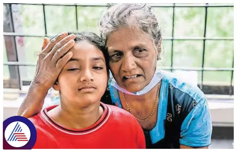 Family miraculously survives in  wayanad landslide with a helping hand from wild elephants gow