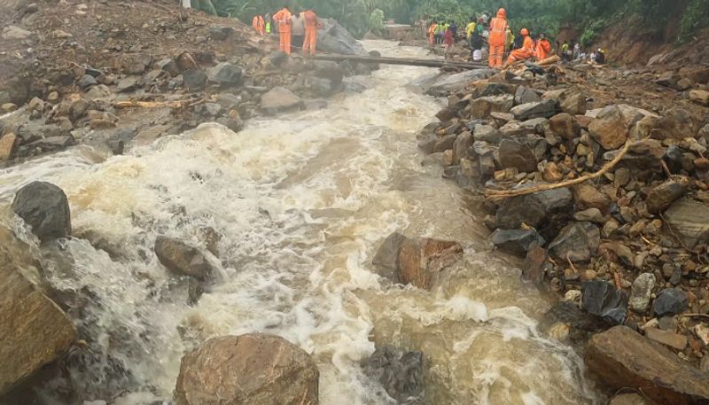 Wayanad landslides: Kerala government announces immediate aid of Rs 4 crore to kin of deceased dmn